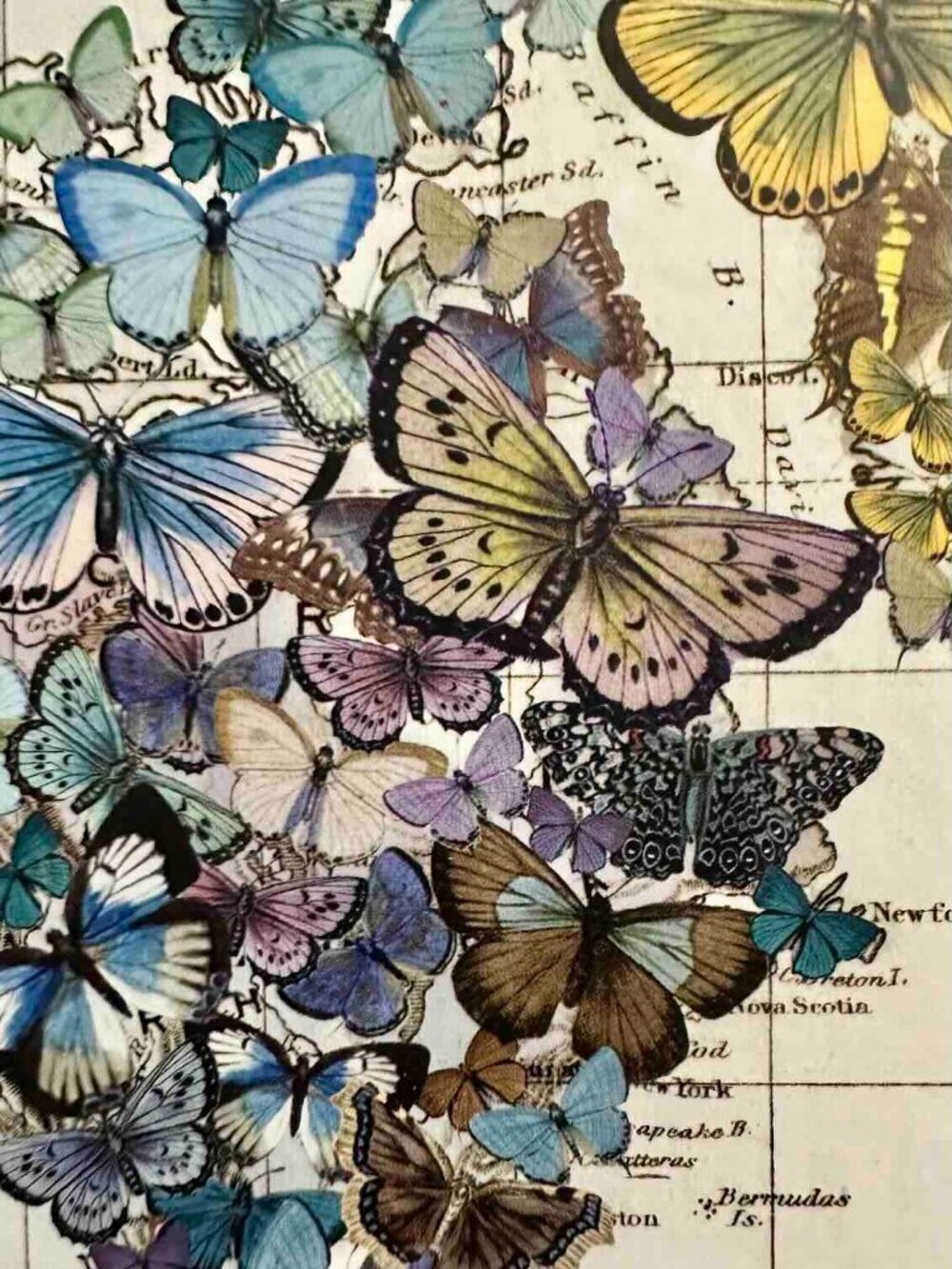 New Unopened Jigsaw Puzzle 1000pc Butterfly Migration sealed bag